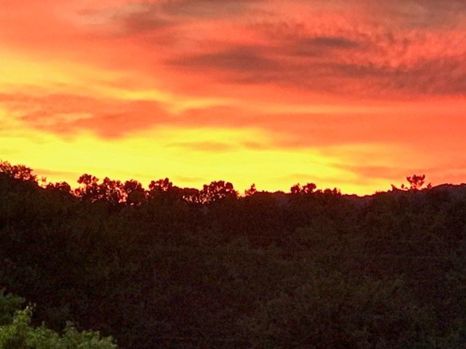 E8FF6832-5210-48FB-894E-83A0FB158B7A