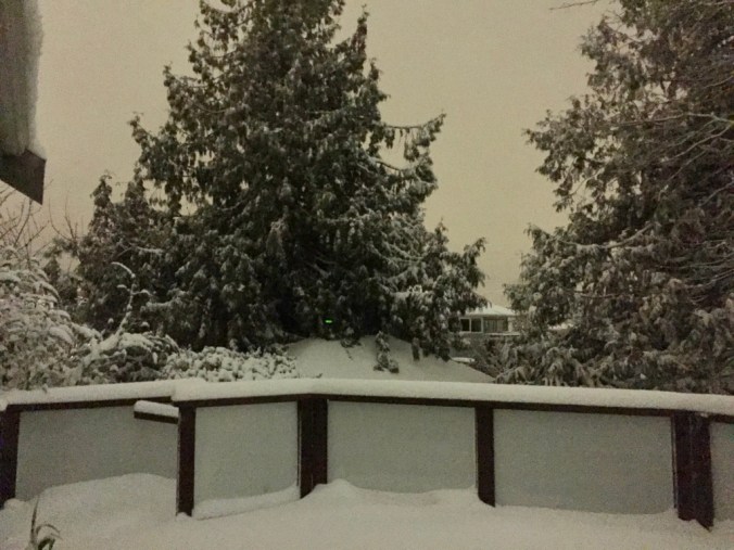 d8IPeXRfS4KjtqlhsQae+g_thumb_6a3