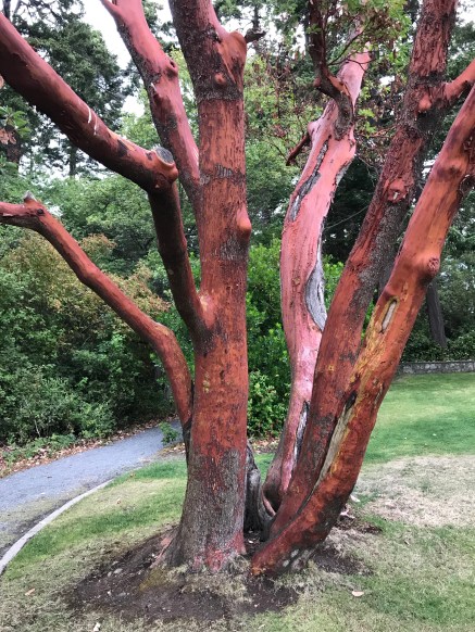 wa4KxpjySoyMDeRhqsflUw