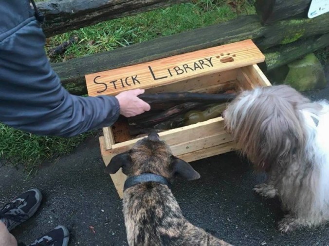 a10-01222020-stick-library-jpg